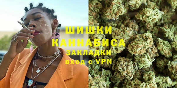 сатива Дмитриев