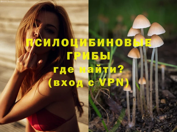 мяу мяу кристалл Армянск