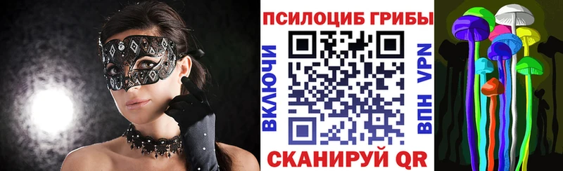 купить  цена  Приморско-Ахтарск  Псилоцибиновые грибы Psilocybe 