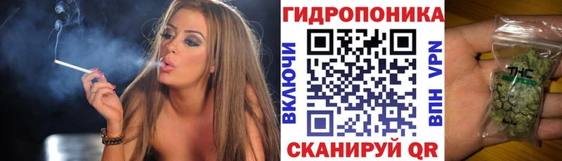 Шишки марихуана гибрид  Приморско-Ахтарск 